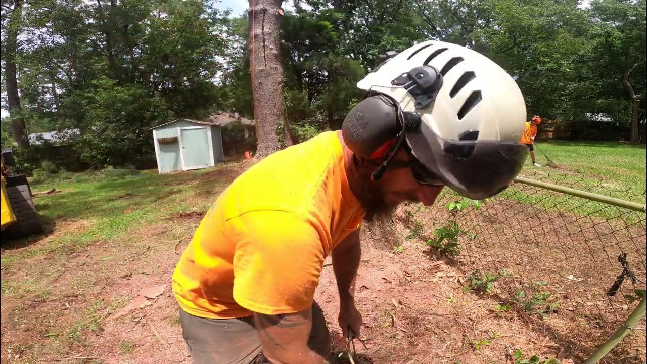 how-to-cut-a-tree-stump-flush-subscribe-tree-viral