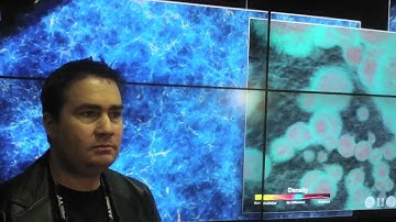 Interview with Rick Wagner SDSC at SC11 about a simulation of the formation of the first galaxies