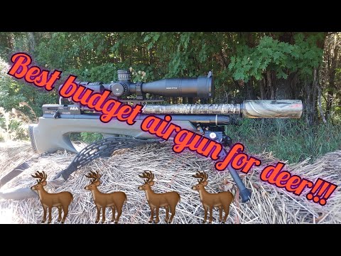 BEST BUDGET AIRGUN FOR DEER!!!