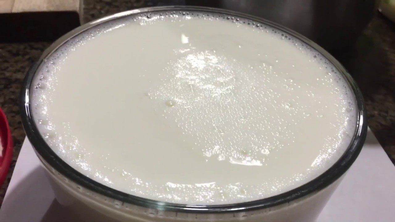 Easy Way To Make Yogurt At Home/ How To Make Thick Consistency Creamy