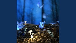 Dreamland
