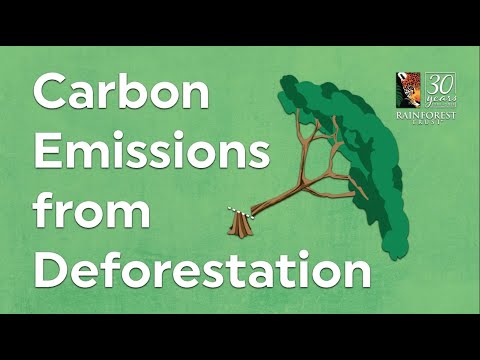 Carbon Emissions From Deforestation