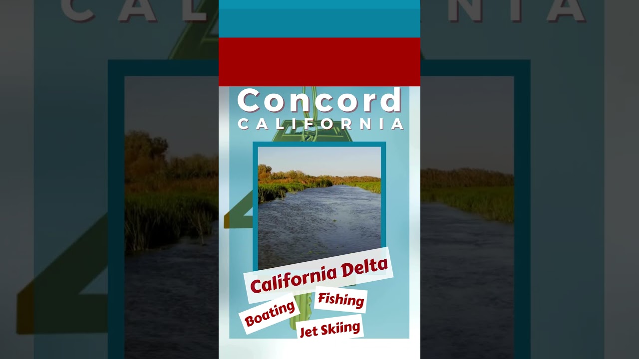 Discovering Concord, CA: Spaciousness, Shopping, and Style! 🌳🏡 