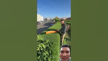 Máy cắt tỉa cây cảnh #garden