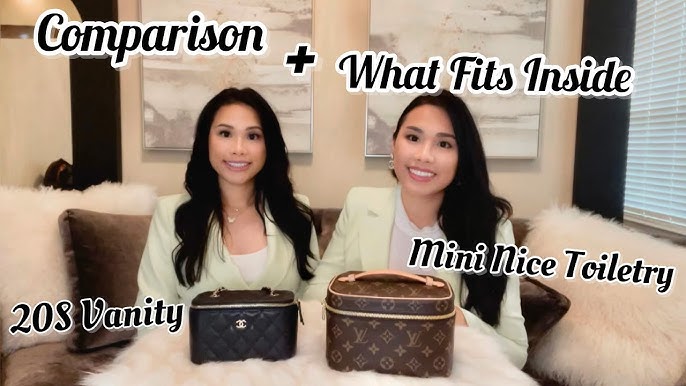 Louis Vuitton Vanity PM vs. Nice Mini (including Mod Shots)! 