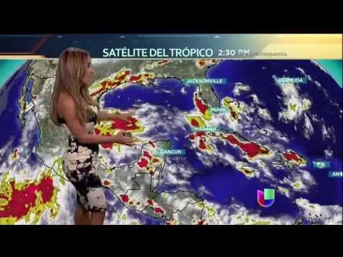 Jackie Guerrido weathergirl Body Hugging outfits