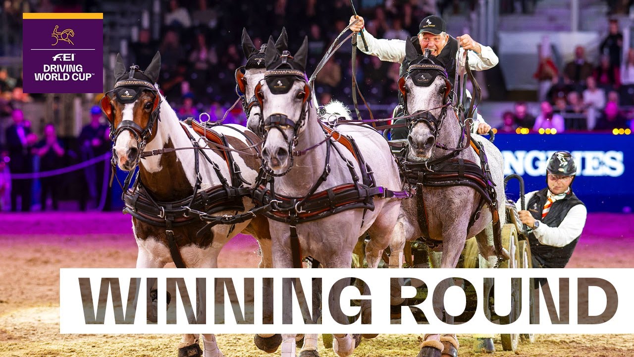 Chardon closes with gold ⏱️🥇 | FEI Driving World Cup™ London 2025