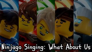 Ninjago Singing: What About Us