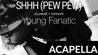Shhh Pew Pew slowed  Reverb  Young Fanatic 146 Bpm Acapella