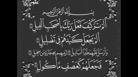 سورة الفيل بصوت القارئ محمد صديق المنشاوي
