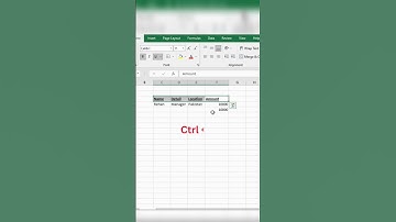 Excel Keyboard Shortcut keys| Excel Shortcut Keys Tutorial | Excel Shortcuts in Urdu/Hindi