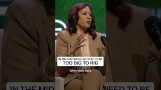 We need to turn out in our numbers and be too big to rig this November.
