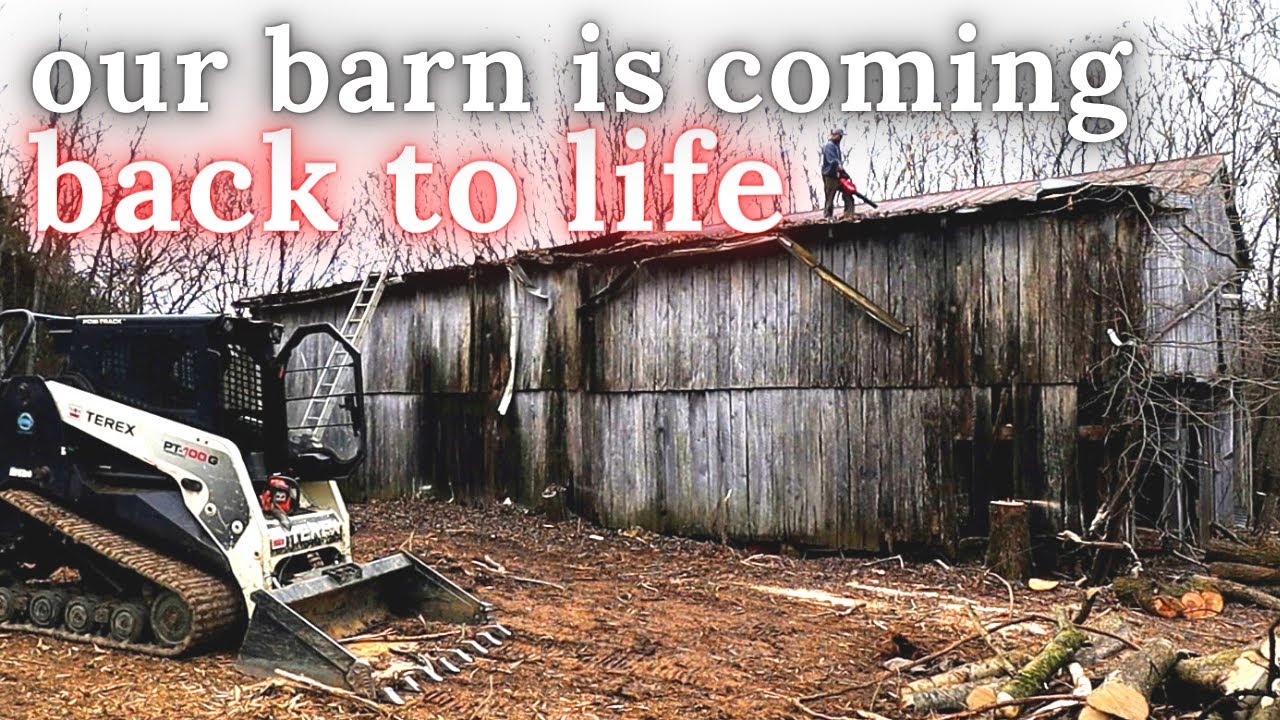 Bringing a Barn back to Life after 20yrs of Neglect - Days 2 & 3 - YouTube
