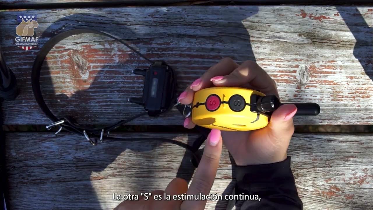 Information about E Collar use YouTube