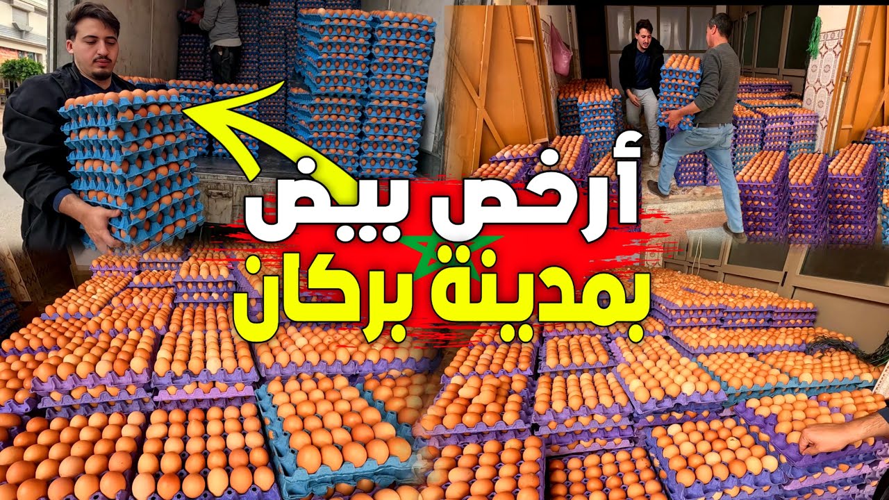 أرخص ثمن: بائع البيض بمدينة بركان يقلب الموازين في زمن الغلاء.. أسعار لا تصدق وحصرية عنده فقط!!