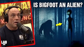 Joe Rogan Explores the Connection Between Bigfoot and Extraterrestrials