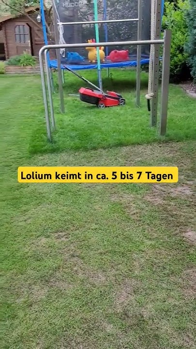Geheime RASENSorte Nachsäen nach Lüften und Düngen Teil 2 YouTube