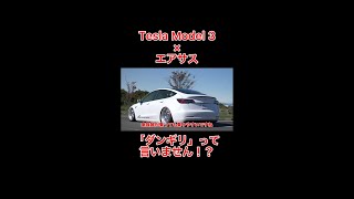 【エアサス×Model3】「ダンギリ」って言いません⁉Tesla Model3  Air Force Suspention Japan #Shorts