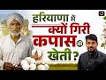 Haryana Cotton Farming Revival | PCCH Scheme Full Details | Haryana Agriculture 2026 | Drishti HCS