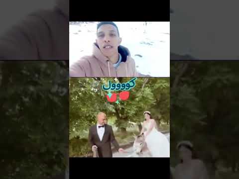 حتا فاوروبا كايركبو العروس على الحمار