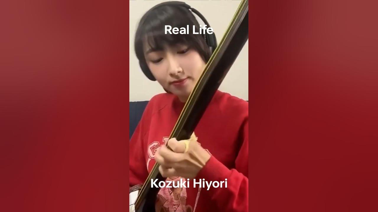 Ctto: Shamisen cover by komada sayo #onepiece Ctto: Shamisen cover by komada sayo #onepiece