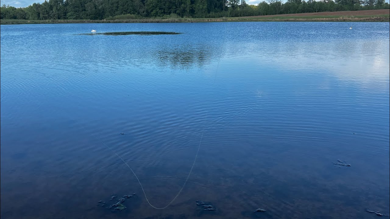 Early Morning Bass Fishing 🫣