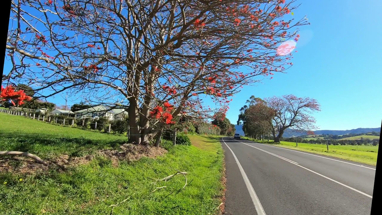 Kiama Downs - Jamberoo