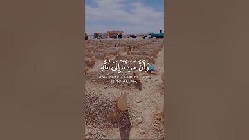 حالات واتس قرآن | وأن مردنا إلى الله للشيخ خالد الجليل تلاوه خاشعه | من سورة غافر