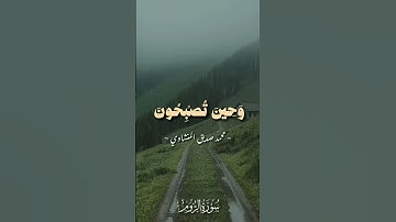 سورة الروم المنشاوي