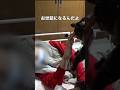 【お別れ】愛する猫を手放すしかない... 保護猫活動家が託された最期の願いとは？　#保護猫 #猫