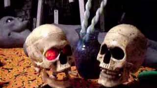 talking skulls