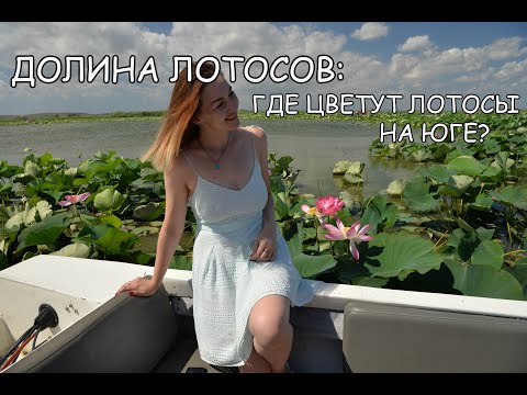 ДОЛИНА ЛОТОСОВ: где цветут лотосы на Юге? Тамань/Темрюкский район/Анапа