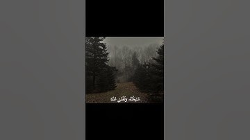 الشيخ: يوسف العيدروس-سوره: الاسراء-الايه42_43 #قرآن #المصحف #راحة_نفسية