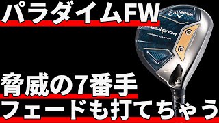 Paradigm FW test drive review | A rare FW that can hit a fade