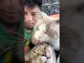 Happy family#cat #pinoyrap #cuteanimal #cutecat #fashion #cute #hiphopclothing #pogiproblems #funny