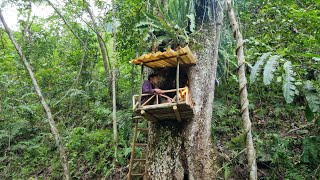 Build shelters on high trees to avoid wild animals, survive alone in the forest , Bushcraft