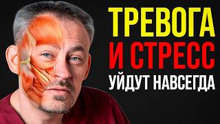 УСПОКОЙСЯ за 5 минут: эта практика лечит нервную систему