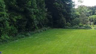 Large Back Garden with beautiful Lawn surrounded by Flowers, Shrubs and Trees - Bristol, UK