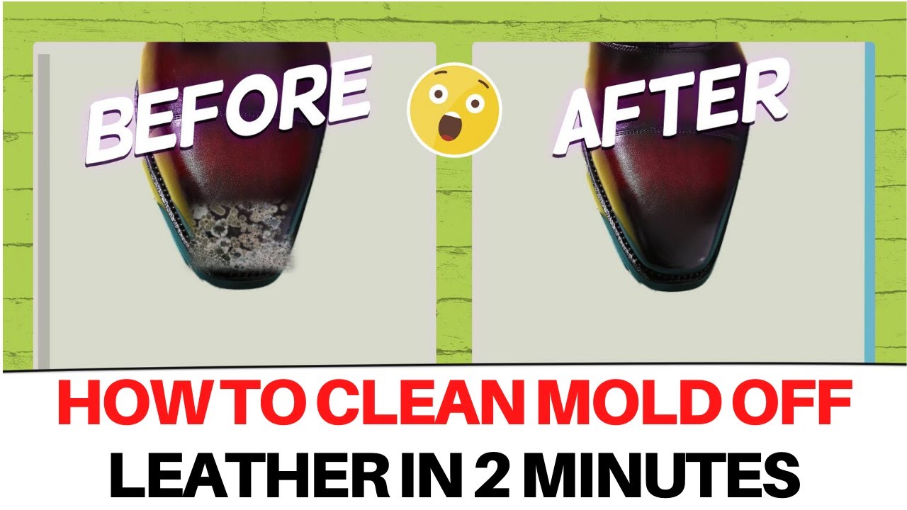 How To Clean Mold Off Leather in 25 Minutes