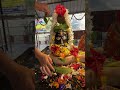 महादेव #mahadev #shiv #shivshankar #mahadevstatus #shiva #mahakal #ujjain #nature #bhakti #temple