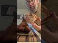 Part 2  carving  tasting the whole roasted pig head