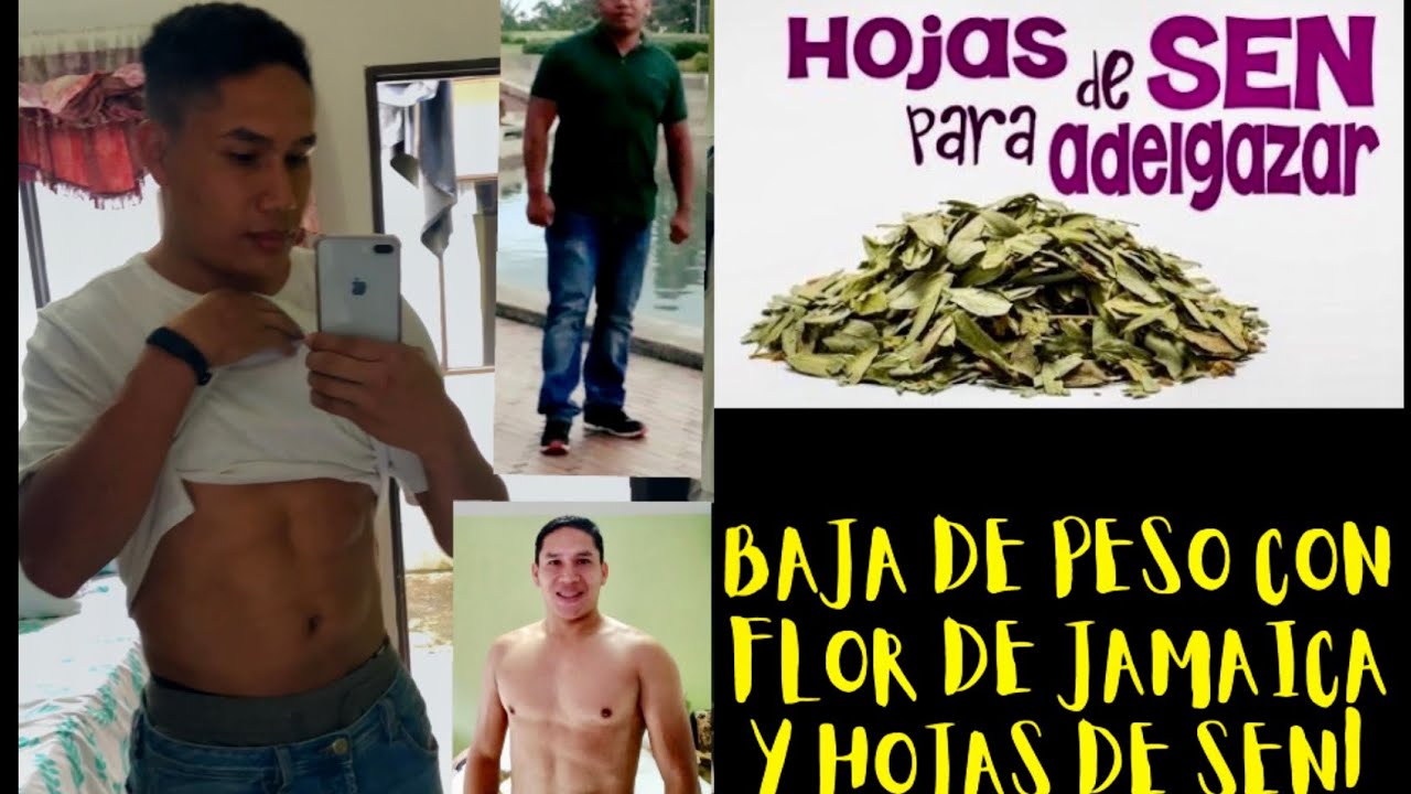 BAJA RÁPIDO DE PESO CON FLOR DE JAMAICA Y HOJAS DE SEN! YouTube