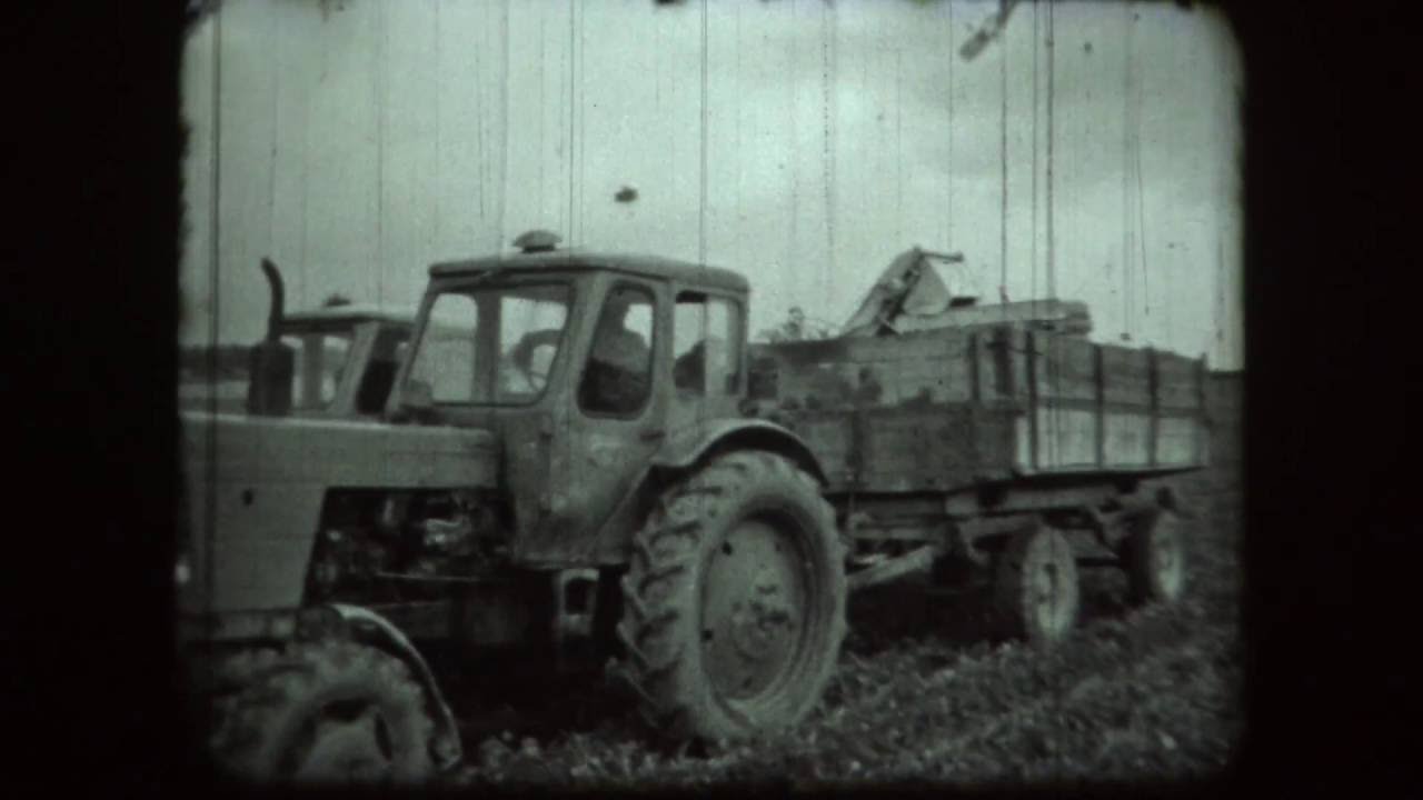 Kolhozs ''TIŅĢERE''.