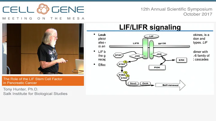 The Role of the LIF Stem Cell Factor in Pancreatic...