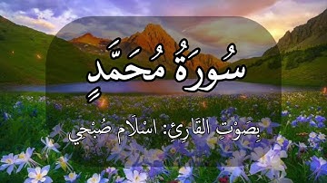 سورة محمد بصوت اسلام صبحي 💜🧡💜🧡💜 #ذكرى #ذكر | ذكرى - zekra | إن تنصروا الله ينصركم ويثبت أقدامكم 🇵🇸 ♡
