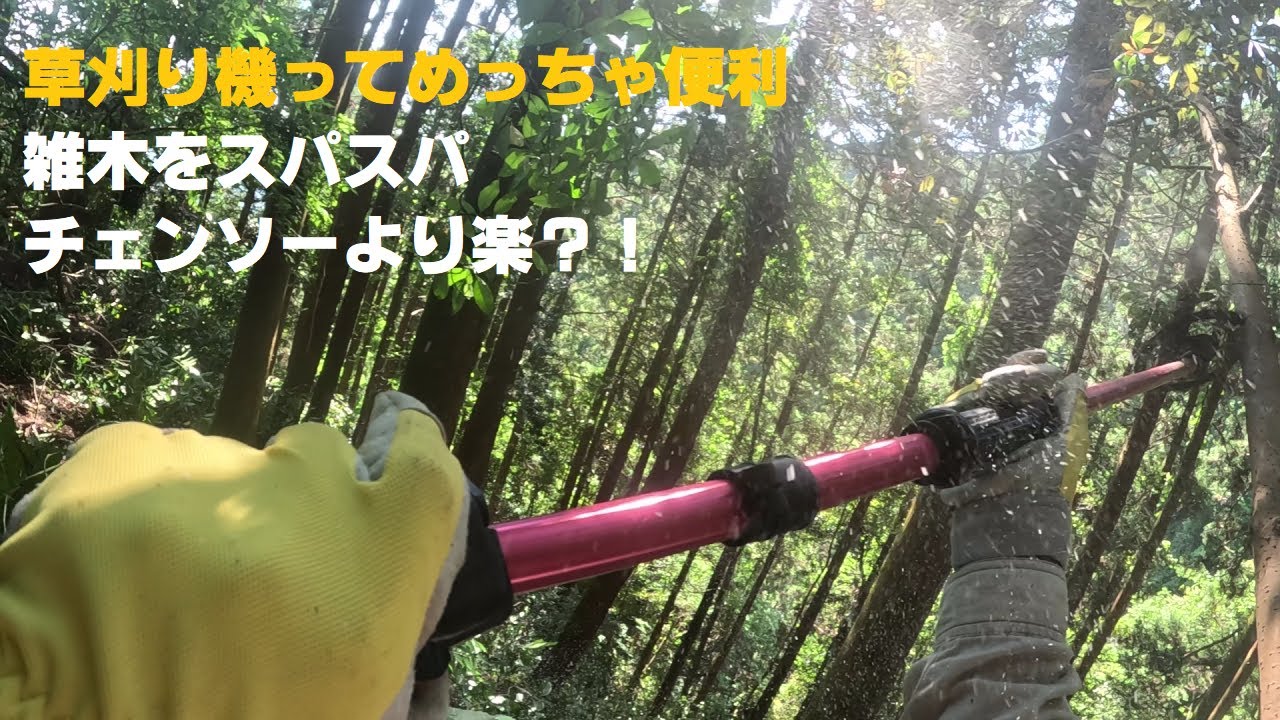 久しぶりにでかい雑木の除伐！！草刈り機本領発揮して下さい！！ - YouTube