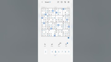 Solving a 16x16 Sudoku Puzzle– Can I Do It Without Mistakes?