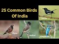 25 common birds of india