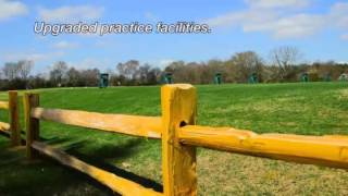 Swing into Spring Special