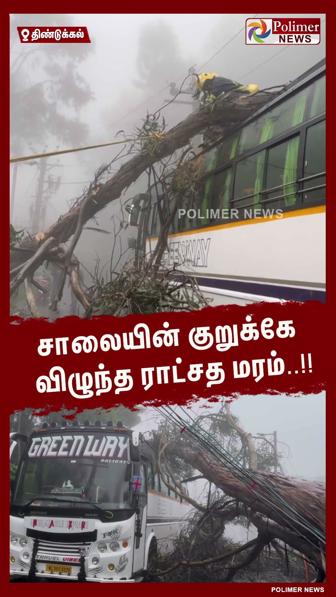 சாலையின் குறுக்கே விழுந்த ராட்சத மரம்..!! #shorts